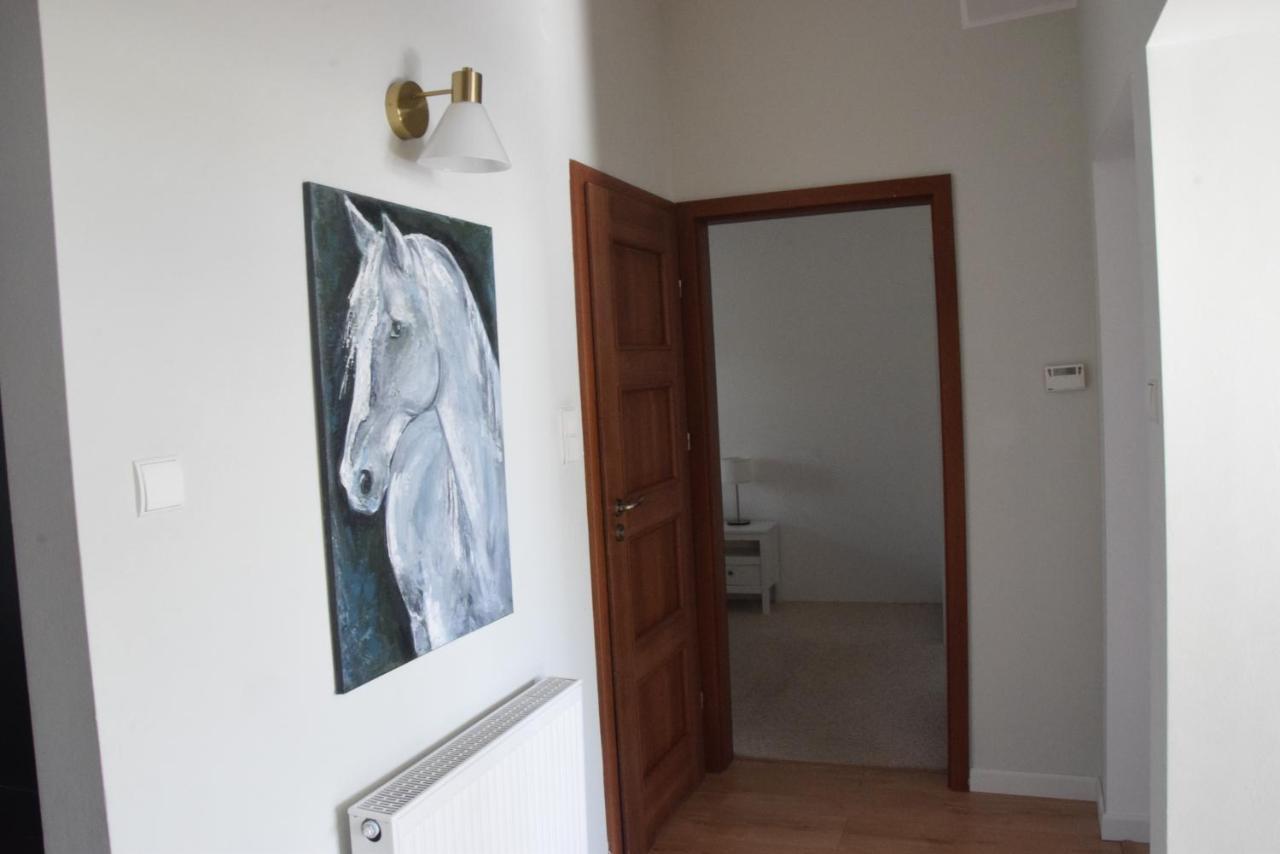 Urocze Przestronne,W Idealnej Lokalizacji Apartment Bielsko-Biala Exterior foto